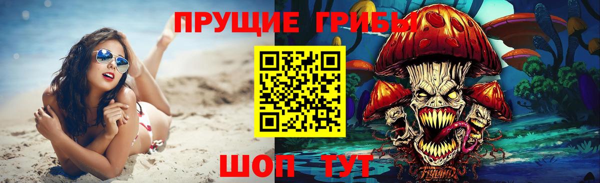 Верхняя Пышма  Псилоцибиновые грибы Psilocybe  Псилоцибиновые грибы прущие грибы  Вход с VPN 